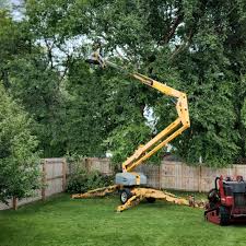 Best Landscape Design and Installation  in Woodbury, NY