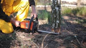 Best Aeration Services  in Woodbury, NY