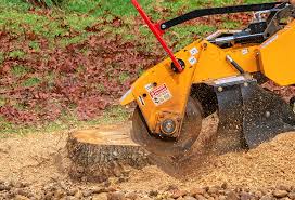 Best Stump Grinding and Removal  in Woodbury, NY